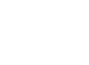 Nexgen Tech Solutions Logo